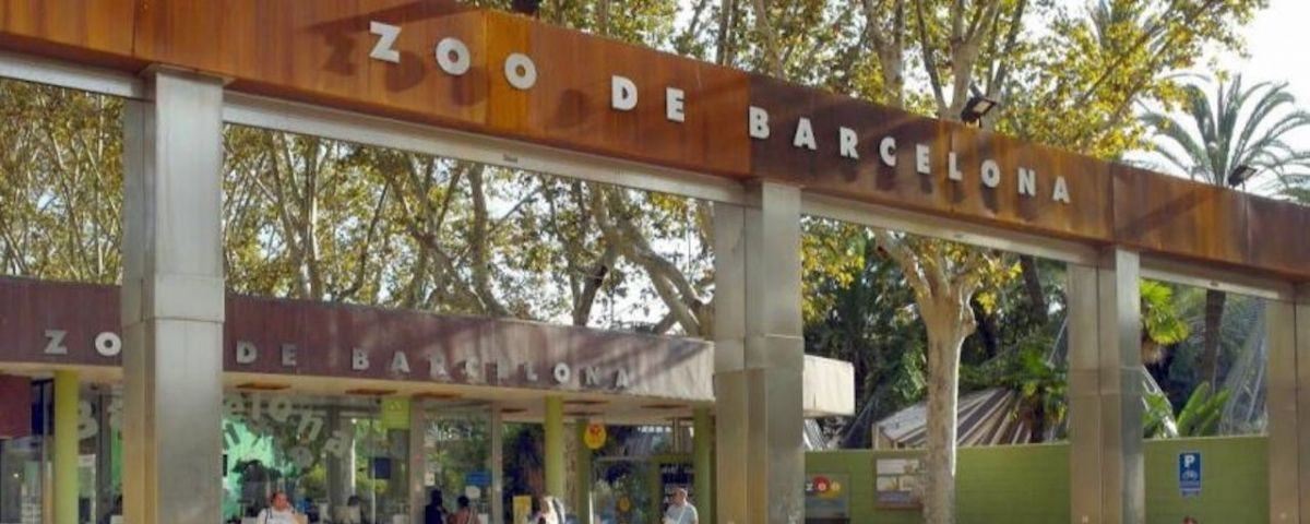 El Zoo de Barcelona, reabierto / AYUNTAMIENTO DE BARCELONA
