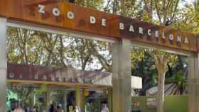 El Zoo de Barcelona, reabierto / AYUNTAMIENTO DE BARCELONA