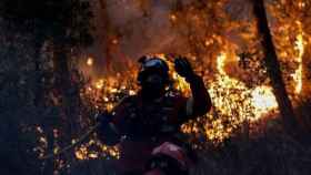 Un bombero intenta apagar un incendio en un bosque