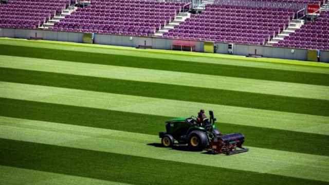 Césped del Camp Nou en una imagen de archivo / EFE