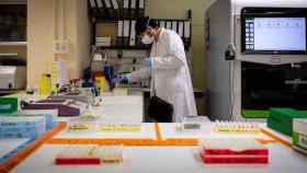 Un sanitario trabaja con muestras de pacientes para someterlas a los test de Covid-19 en el laboratorio del hospital Germans Trias i Pujol de Badalona / EFE - Enric Fontcuberta
