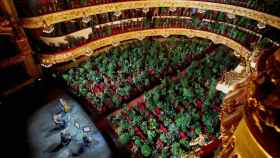 El Gran Teatre del Liceu lleno de plantas y sin público / EFE