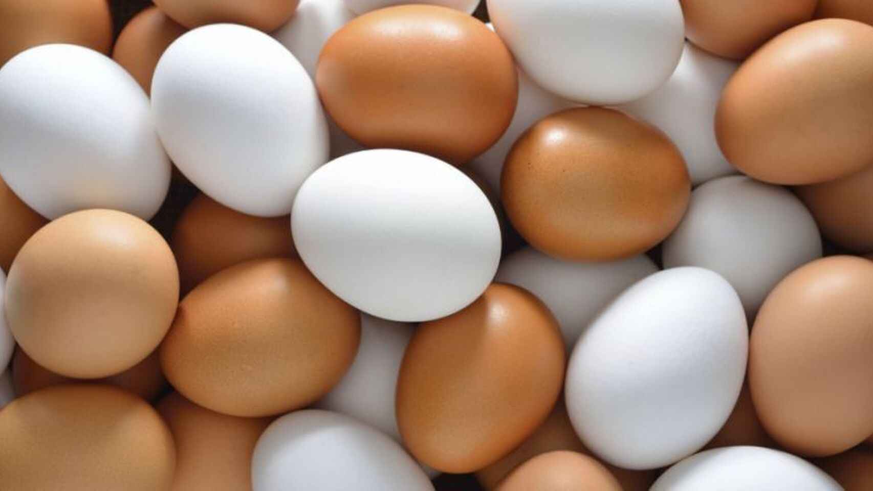 Decenas de huevos de color marrón y blancos / ARCHIVO