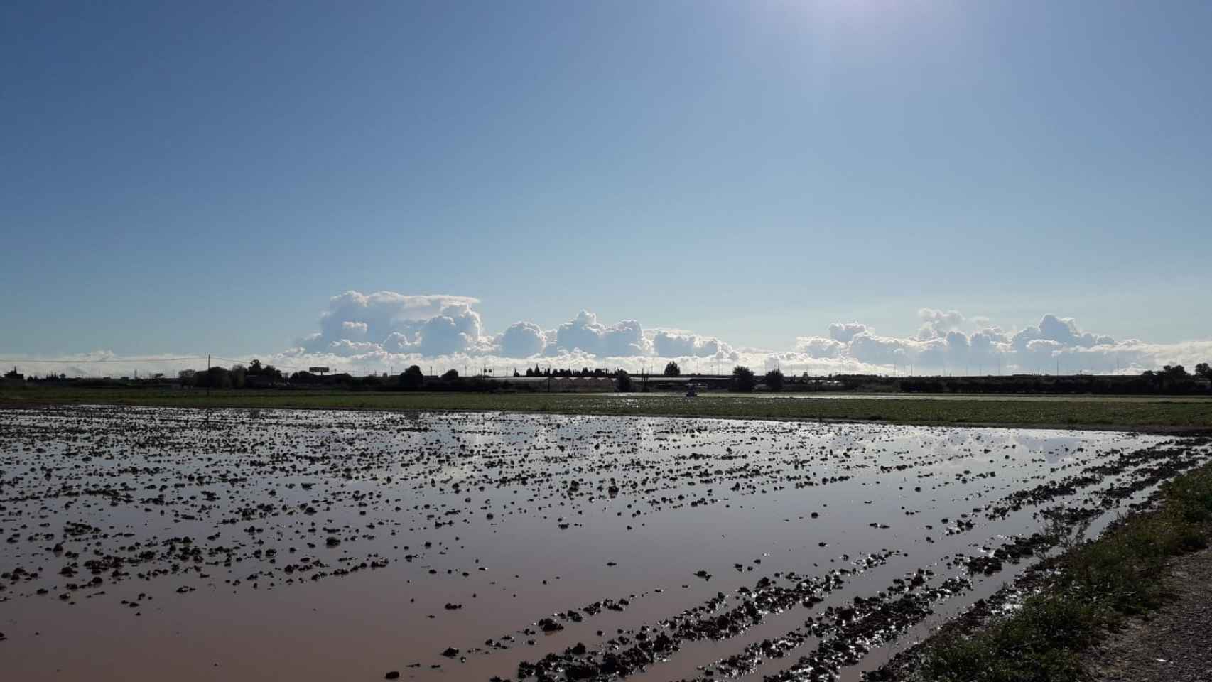 Los campos de Viladecans (Baix Llobregat), inundados por el temporal de lluvia este domingo / TWITTER @ayariroig