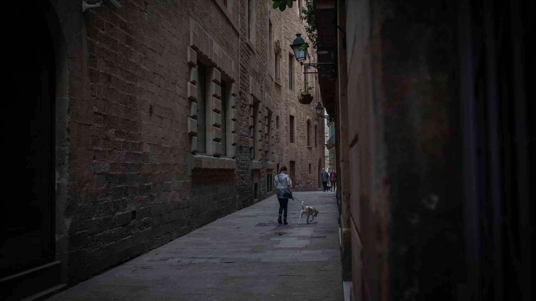 Una persona pasea a un perro por una calle del Barrio Gótico / EUROPA PRESS -  David Zorrakino