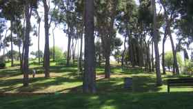 Imagen del interior del parque del Turó de la Peira, donde el Ayuntamiento pensaba poner un jardín de Navidad / ARCHIVO
