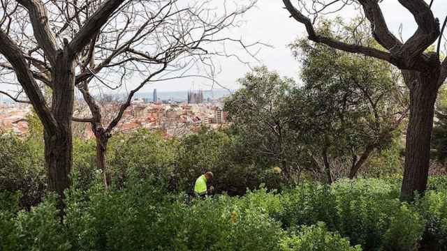 Un trabajador en un barrio de montaña de Sarrià-Sant Gervasi / AJ BCN