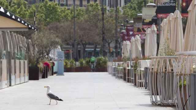 Terrazas cerradas en Barcelona, que el Ayuntamiento de Colau insta a reabrir / EFE