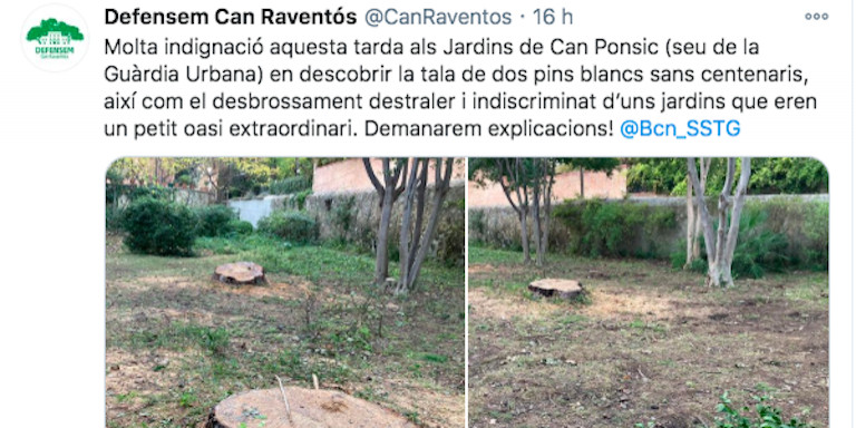 Tuit muy crítico sobre la tala de los pinos, hecho por la plataforma 'Defensem Can Raventós' / @CanRaventos