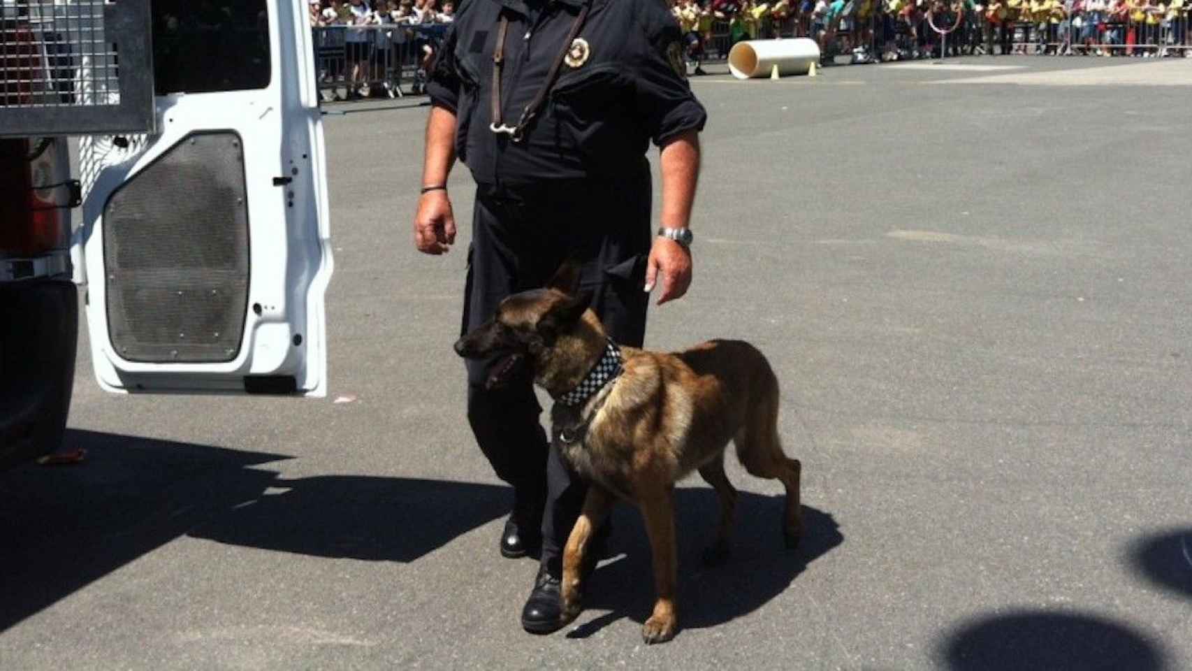 Un perro de la Guardia Urbana, a punto de subir a una furgoneta / AYUNTAMIENTO DE BARCELONA
