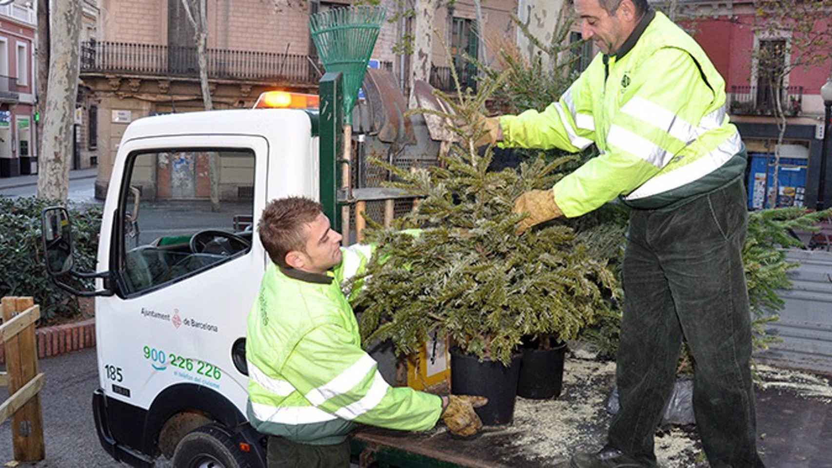Operarios del Ayuntamiento retiran árboles de Navidad para su reciclaje, en una imagen de archivo / EUROPA PRESS