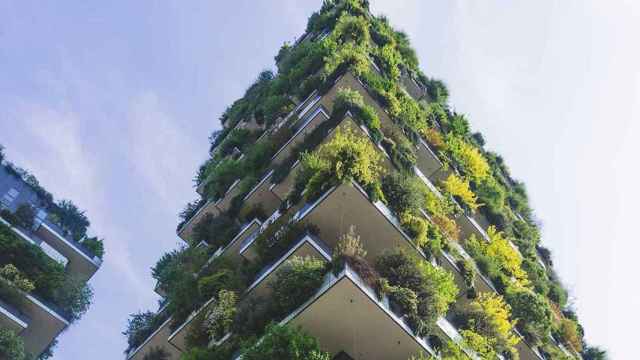 Jardín vertical en un bloque de edificios / ARCHIVO