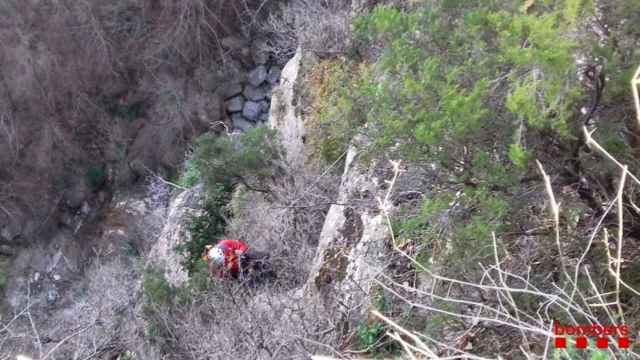 Rescate de un perro en una imagen de archivo / BOMBERS DE LA GENERALITAT