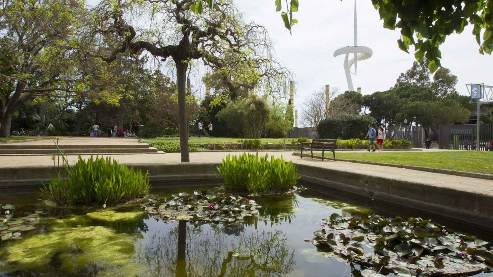 Jardín de Aclimatación de Montjuïc / AYUNTAMIENTO DE BARCELONA