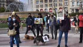 Manifestación contra la caza en Barcelona / EUROPA PRESS
