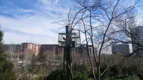 Sistema ilegal de captura de pájaros en L'Hospitalet de Llobregat / Mossos d'Esquadra