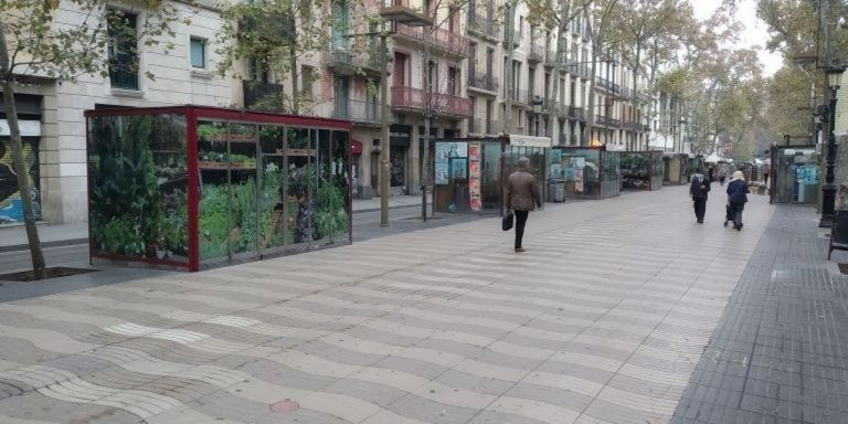 Floristerías de La Rambla, cerradas, el año pasado / METRÓPOLI ABIERTA - JORDI SUBIRANA