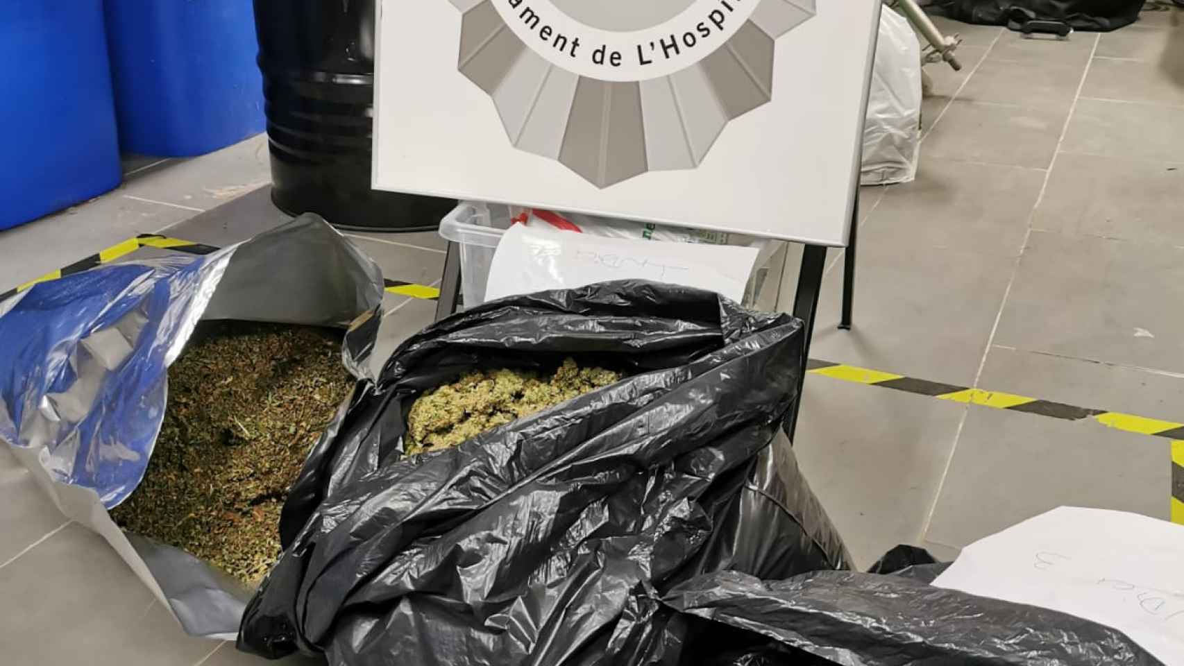 Marihuana decomisada por la Unidad Kilo de la Guardia Urbana de L'Hospitalet / CEDIDA
