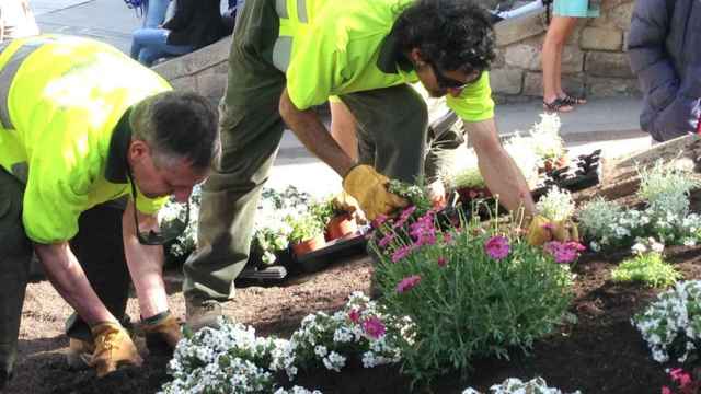 Trabajadores de Parcs i Jardins / AJ BCN