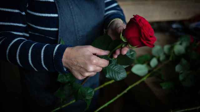 Una rosa en la Floristería Pasanau, un día antes de Sant Jordi en una imagen de archivo / EUROPA PRESS - David Zorrakino