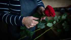 Una rosa en la Floristería Pasanau, un día antes de Sant Jordi en una imagen de archivo / EUROPA PRESS - David Zorrakino