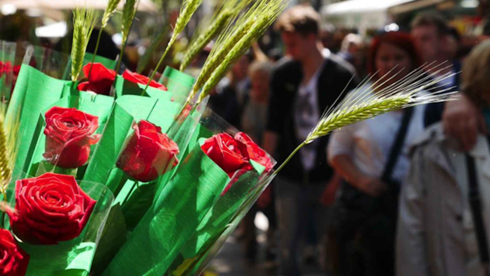 Rosas de Sant Jordi / AYUNTAMIENTO DE BARCELONA