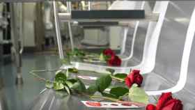 Rosas en los asientos de un vagón del Metro por Sant Jordi / TRANSPORTS METROPOLITANS DE BARCELONA