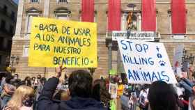 Manifestación contra el maltrato animal y la liberación de animales de Vivotecnia en Barcelona / EUROPA PRESS