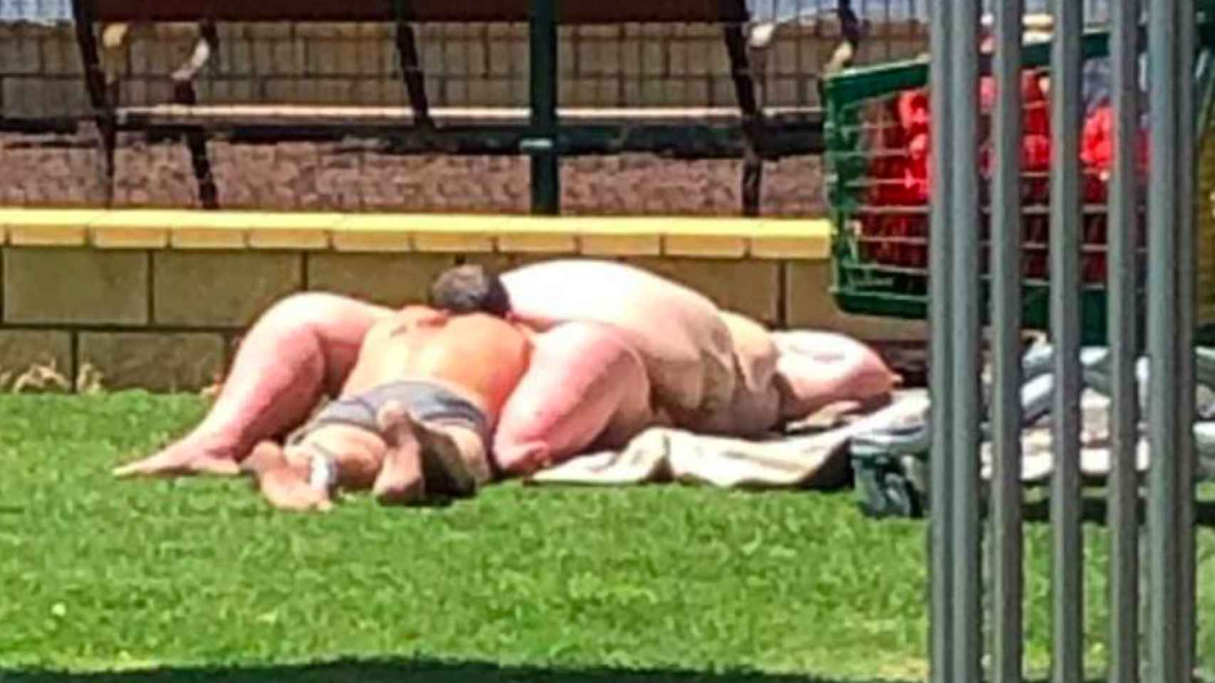 Una pareja practicando sexo en un parque a plena luz del día / REDES SOCIALES