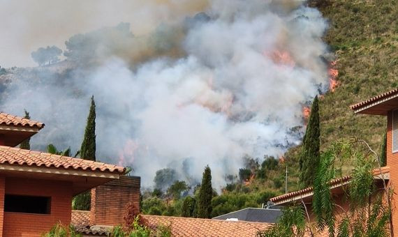 Columna de humo en el incendio de Collserola 