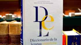 Diccionario de la Real Academia Española / RAE
