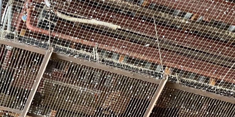 Así es la red que se ha instalado en el techo de La Boqueria para evitar las palomas / DAVID GORMAN