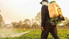 Un trabajador del campo rocía de pesticidas un campo / FUNDACIÓN LA CAIXA