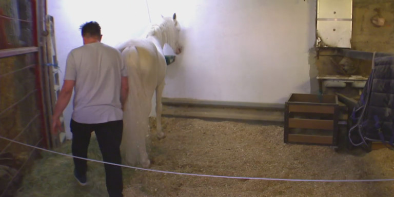 Chiqui, el caballo encerrado en un garaje de Torre Baró, junto a su dueño / TV3