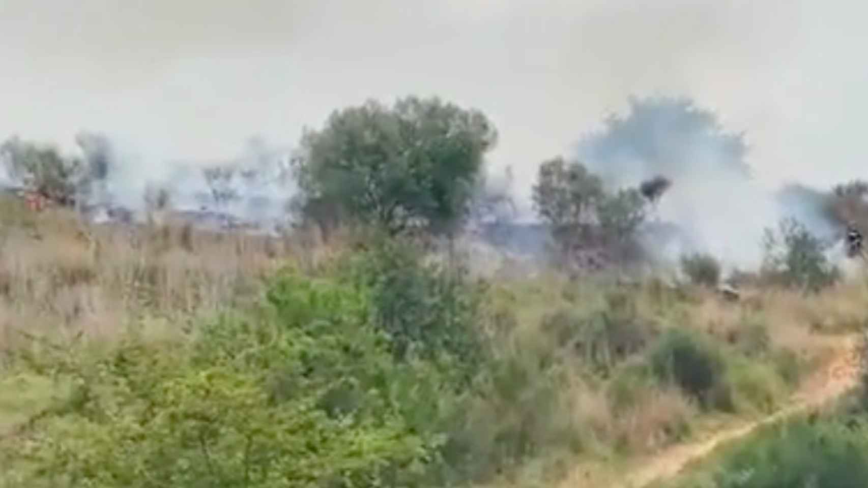 Captura de pantalla del vídeo del incendio forestal en Collserola / GUARDIA URBANA