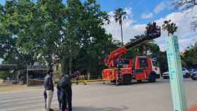 Un camión de bomberos ha acudido al lugar donde un árbol se ha roto en la Ciutadella, causando destrozos en un chiringuito / CEDIDA