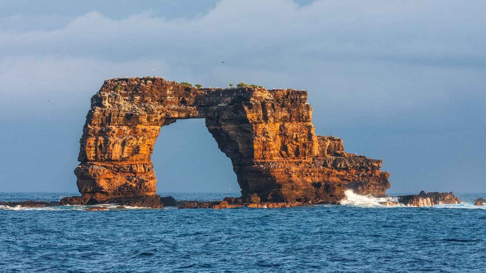 Arco de Darwin, la formación rocosa de las Galápagos