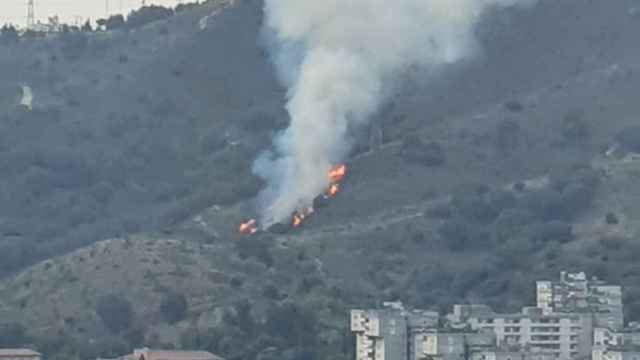 Incendio en Collserola / CEDIDA