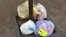 Bolsas de basura sin recoger en un alcorque de la calle de Coroleu, en Sant Andreu del Palomar / METRÓPOLI
