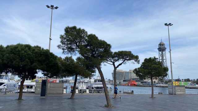 Vista del puerto de Barcelona, prácticamente vacío, al final de la Rambla / METRÓPOLI