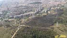 Imagen de la zona quemada por el incendio en la carretera alta de Roquetes, en el Parque de Collserola (Barcelona) / BOMBEROS DE BARCELONA