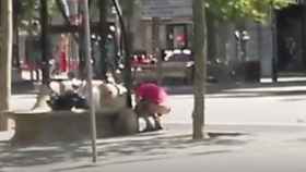 Un hombre defeca en paseo de Gràcia / BCN LEGENDS