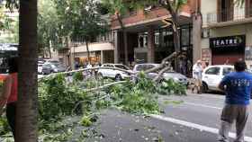 Una rama gigante cae sobre un coche y corta el tráfico en Sant Antoni Maria Claret / GUILLEM SANS