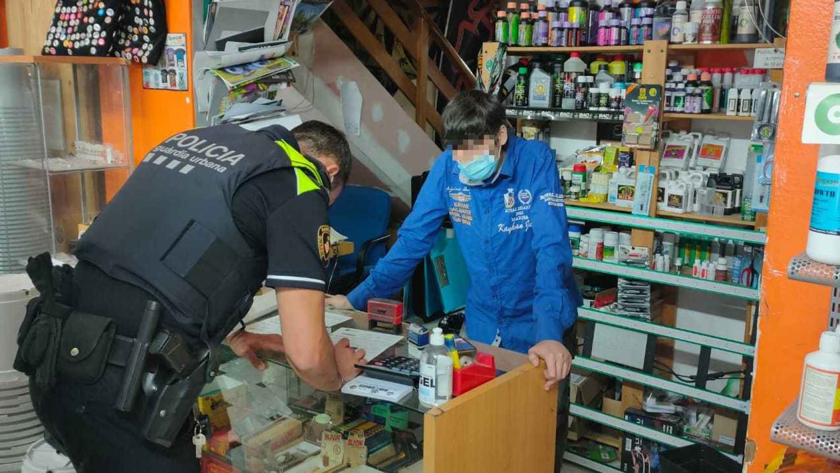 Un agente de la Guardia Urbana en uno de los locales cannábicos en los que se realizó una inspección este miércoles en Barcelona / GUARDIA URBANA