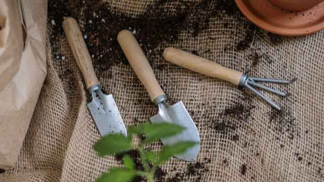 Herramientas de jardinería