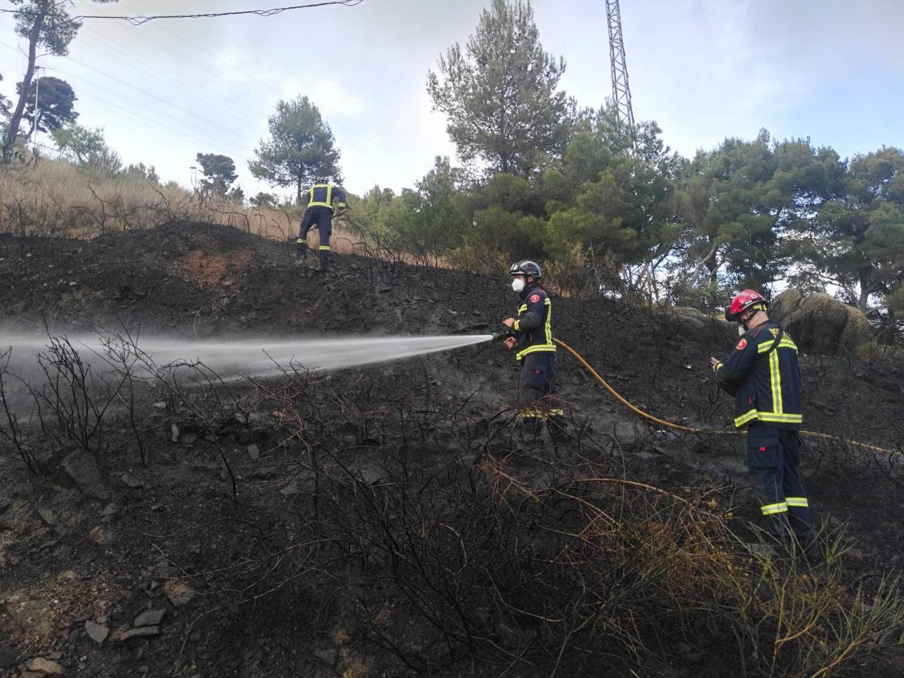 Bomberos trabajan en la extinción del incendio en Collserola / BOMBERS DE BARCELONA