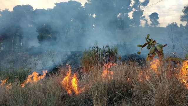 Incendio en Collserola / BOMBERS DE BARCELONA