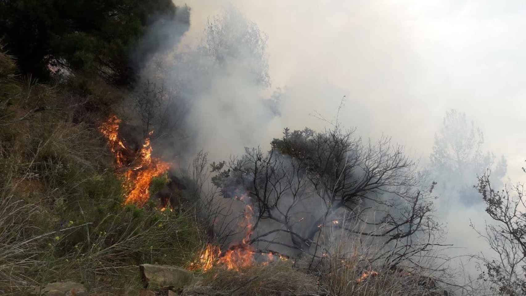 Llamas del incendio del entorno forestal del Vall d'Hebron / ARCHIVO