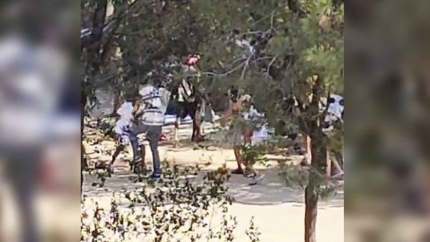 Captura de pantalla de uno de los vídeos de la pelea en el parque del Mirador del Poble-sec / METRÓPOLI