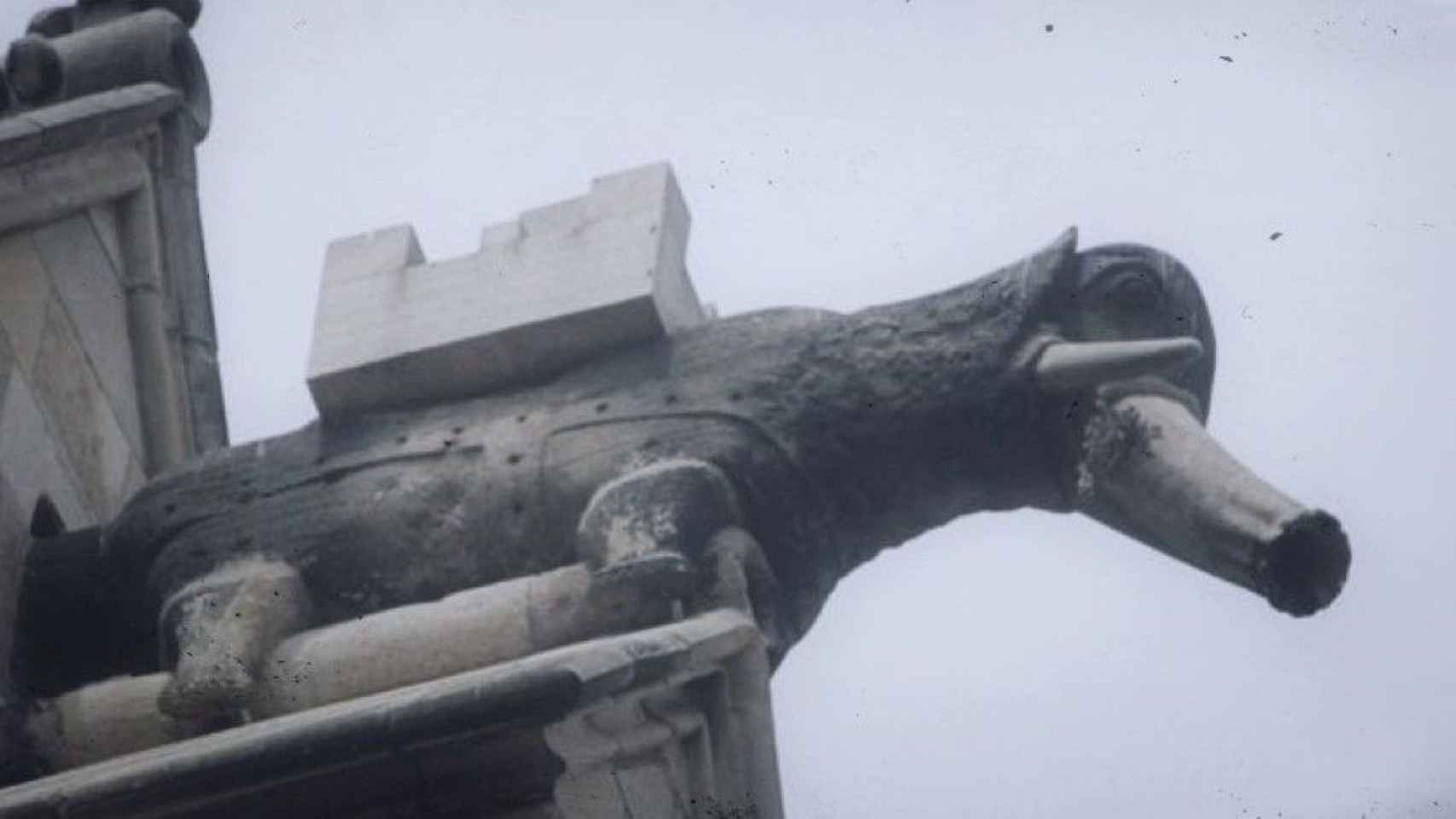 Elefante en una gárgola del la Catedral de Barcelona / INMA SANTOS